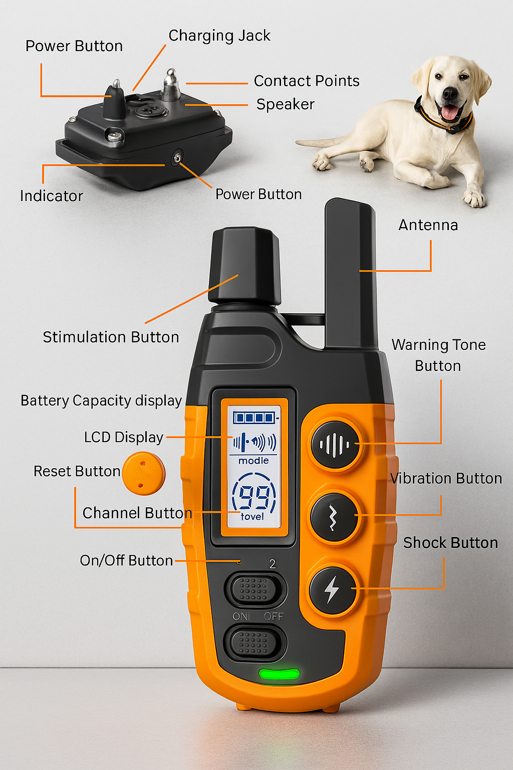 Dog Training Collar