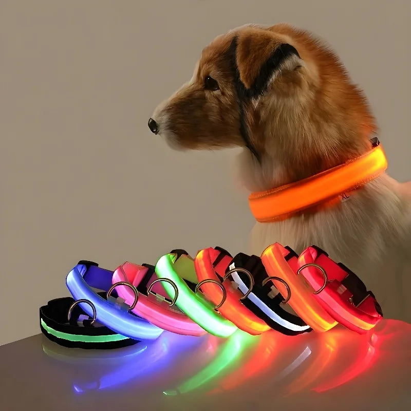 PupLite LED Dog Collar