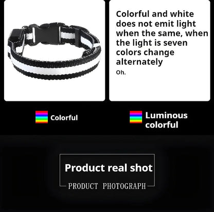 PupLite LED Dog Collar
