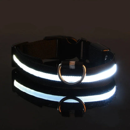 PupLite LED Dog Collar